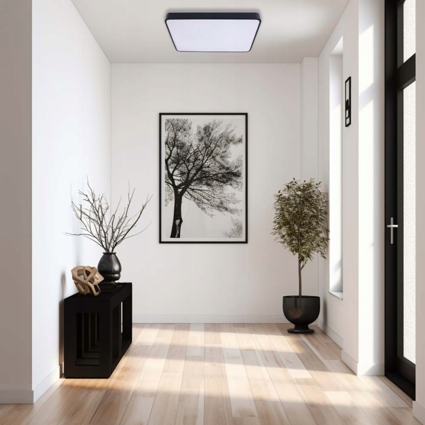LED Stropní svítidlo FELIZ LED/40W/230V 4000K 40x40 cm černá