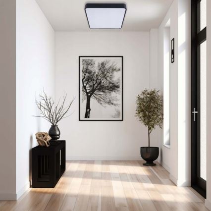 LED Stropní svítidlo FELIZ LED/50W/230V 4000K 40x60 cm černá