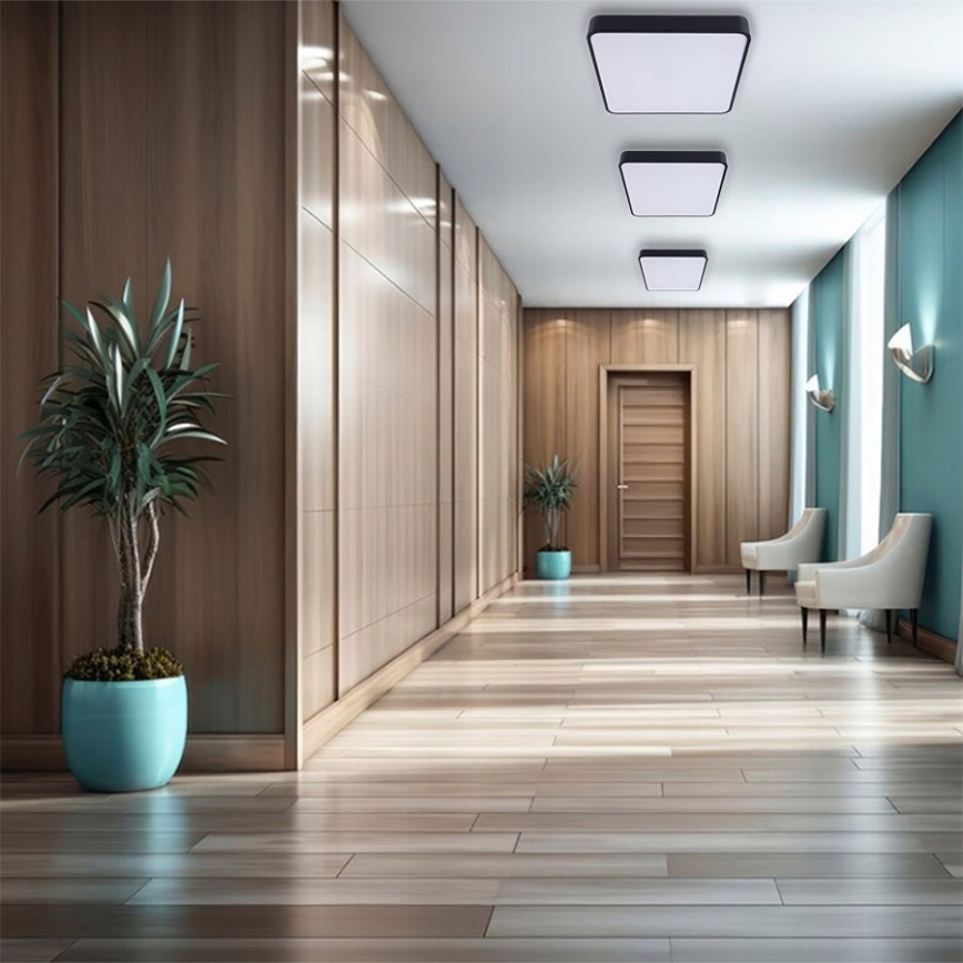 LED Stropní svítidlo FELIZ LED/50W/230V 4000K 40x60 cm černá