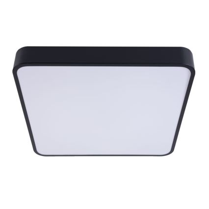 LED Stropní svítidlo FELIZ LED/50W/230V 4000K 40x60 cm černá