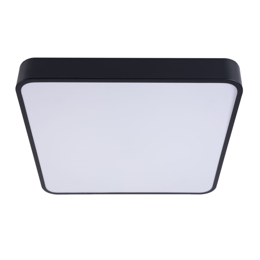 LED Stropní svítidlo FELIZ LED/50W/230V 4000K 40x60 cm černá