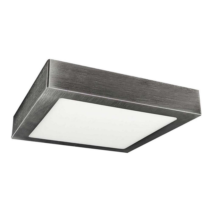 LED Stropní svítidlo FENIX LED/12W/230V 3800K 17 cm