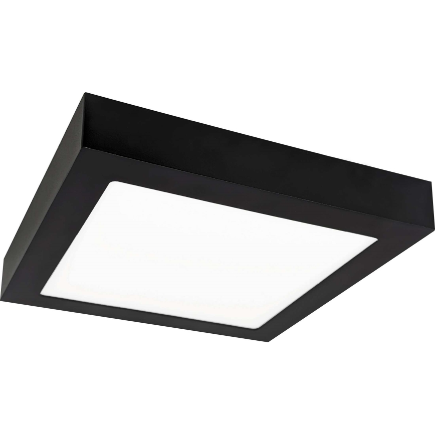 LED Stropní svítidlo FENIX LED/18W/230V 2800K 22,5 cm