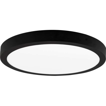 LED Stropní svítidlo FENIX LED/24W/230V 3800K pr. 29,8 cm