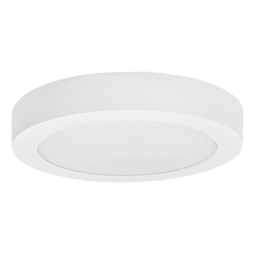 LED Stropní svítidlo FENIX LED/24W/230V 3800K pr. 29,8 cm sněhově bílá