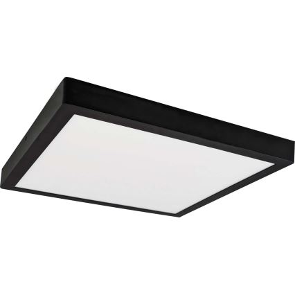 LED Stropní svítidlo FENIX LED/32W/230V 3800K 40 cm