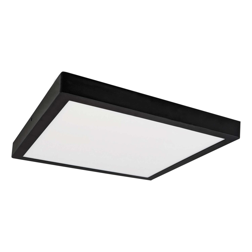 LED Stropní svítidlo FENIX LED/32W/230V 3800K 40 cm