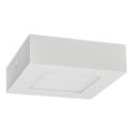 LED Stropní svítidlo FENIX LED/6W/230V 3800K 12 cm