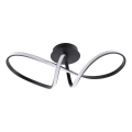LED Stropní svítidlo FLAVIA LED/33W/230V 24x61 cm černá