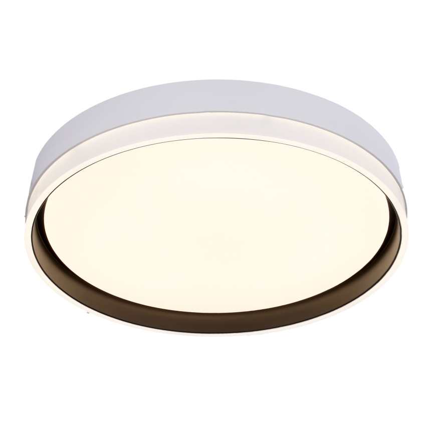 LED Stropní svítidlo FLORIDA LED/24W/230V bílá