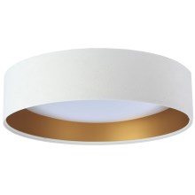 LED Stropní svítidlo GALAXY 1xLED/24W/230V bílá/zlatá