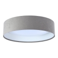 LED Stropní svítidlo GALAXY 1xLED/24W/230V pr. 44 cm šedá/bílá