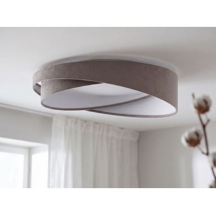 LED Stropní svítidlo GALAXY MODERN LED/24W/230V pr. 55 cm šedá/bílá
