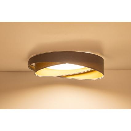 LED Stropní svítidlo GALAXY MODERN LED/24W/230V pr. 55 cm šedá/zlatá