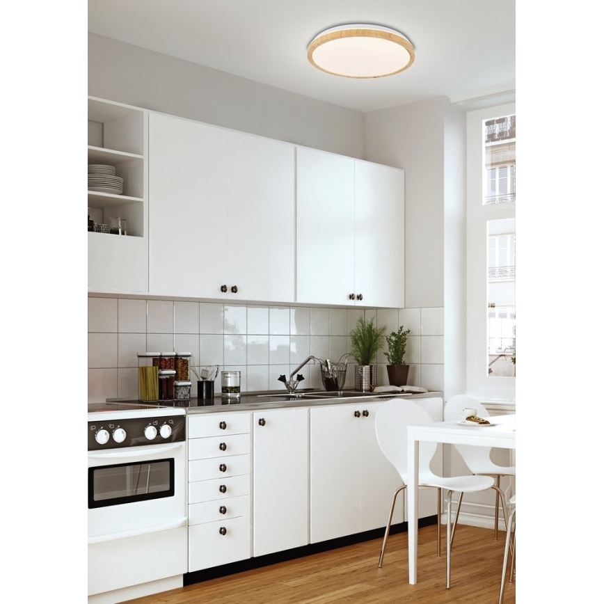 LED Stropní svítidlo GANDAVA LED/24W/230V