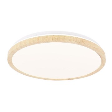LED Stropní svítidlo GANDAVA LED/36W/230V