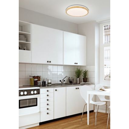 LED Stropní svítidlo GANDAVA LED/36W/230V
