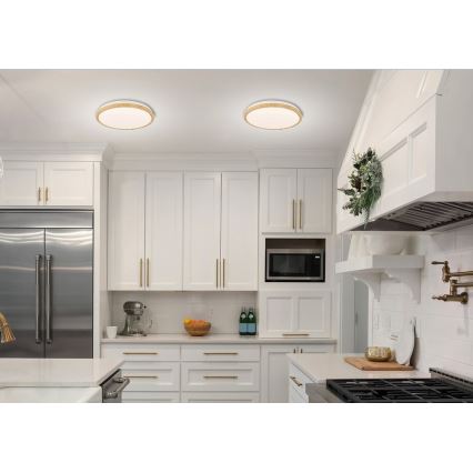 LED Stropní svítidlo GANDAVA LED/36W/230V
