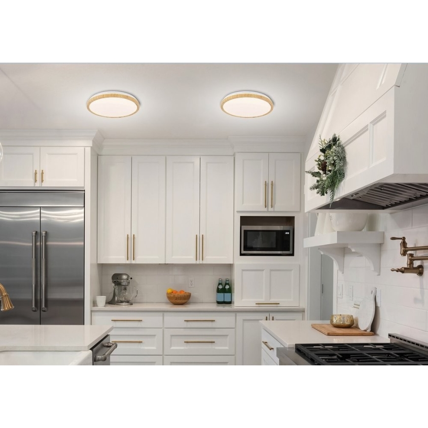 LED Stropní svítidlo GANDAVA LED/36W/230V