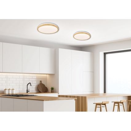 LED Stropní svítidlo GANDAVA LED/36W/230V