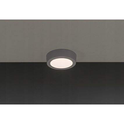 LED Stropní svítidlo GERRIT LED/6W/230V 3000K