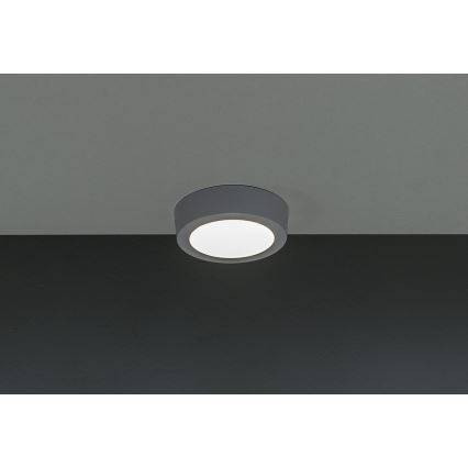 LED Stropní svítidlo GERRIT LED/6W/230V 4000K