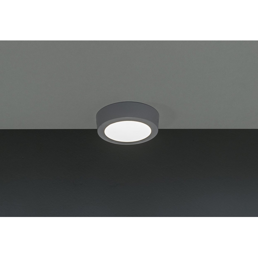 LED Stropní svítidlo GERRIT LED/6W/230V 4000K
