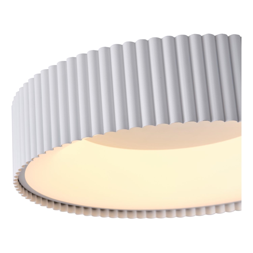 LED Stropní svítidlo HALLO LED/30W/230V 3000K bílá pr. 46 cm