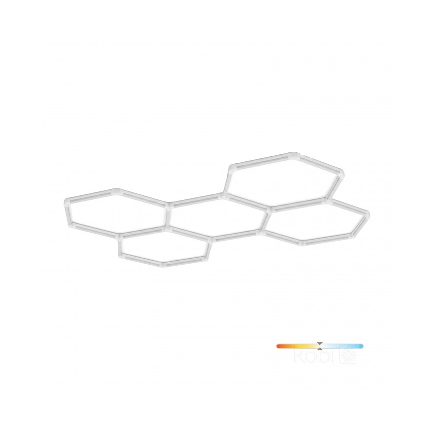 LED Stropní svítidlo HEXLINE LED/216W/230V 4000K 208x300 cm bílá