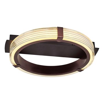 LED Stropní svítidlo JESI LED/2W/230V 3000K hnědá
