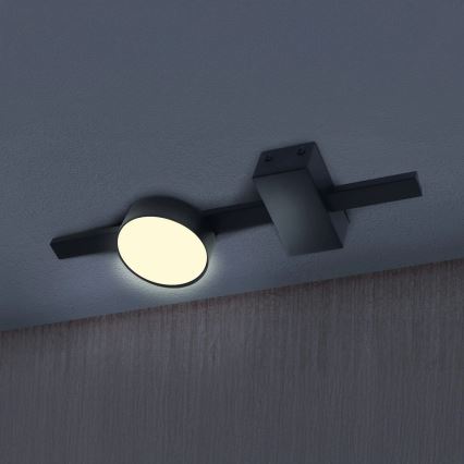 LED Stropní svítidlo JOY 1xGX53/6W/230V černá
