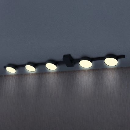 LED Stropní svítidlo JOY 5xGX53/6W/230V černá