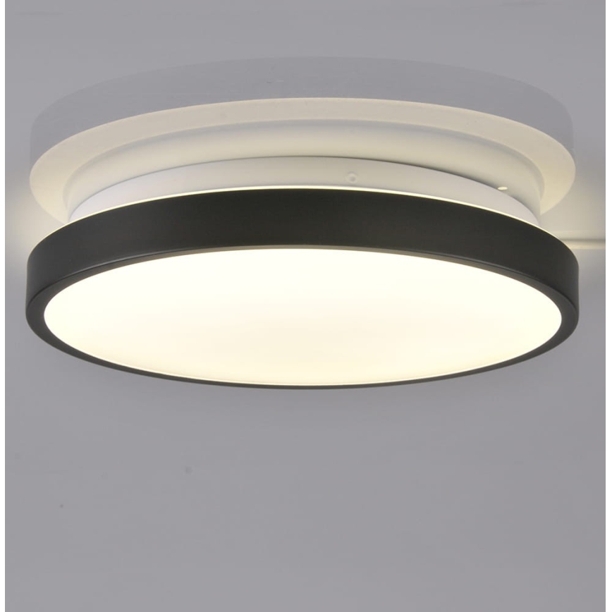 LED Stropní svítidlo KERN LED/15W/230V černá