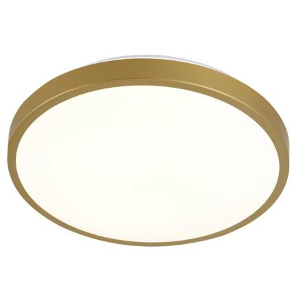 LED Stropní svítidlo KERN LED/15W/230V pr. 29 cm