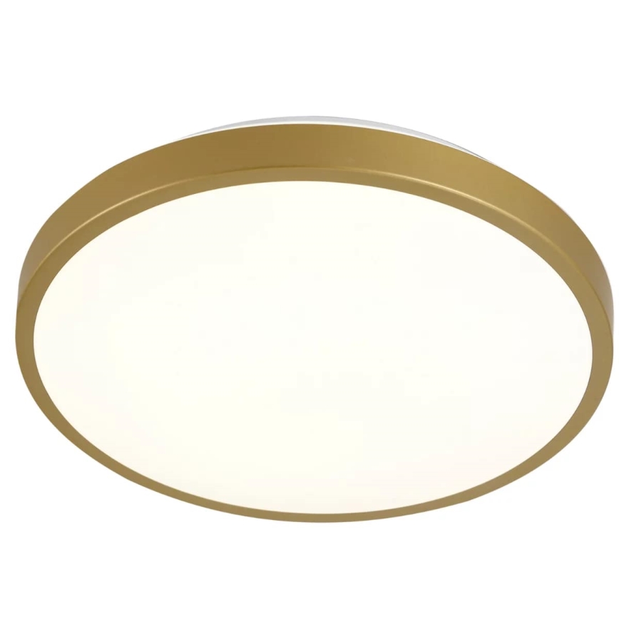 LED Stropní svítidlo KERN LED/15W/230V pr. 29 cm
