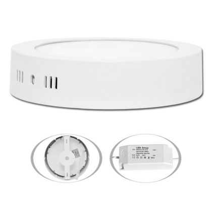 LED Stropní svítidlo LADA LED/12W/230V 2700K