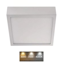 LED Stropní svítidlo LED/12,5W/230V 17x17 cm bílá