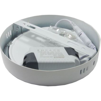 LED Stropní svítidlo LED/12W/230V 3000K