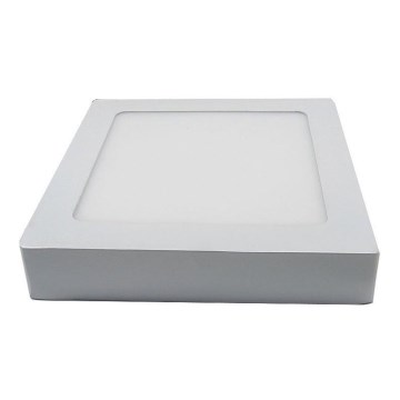 LED Stropní svítidlo LED/12W/230V 3000K