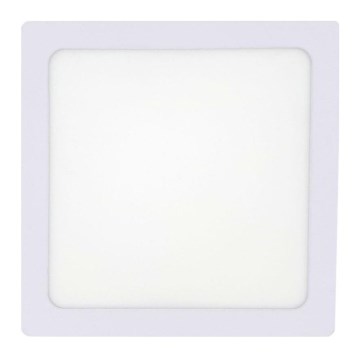 LED Stropní svítidlo LED/12W/230V 4200K 16,3x16,3 cm bílá