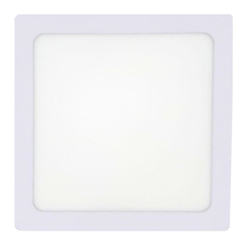LED Stropní svítidlo LED/12W/230V 4200K 16,3x16,3 cm bílá