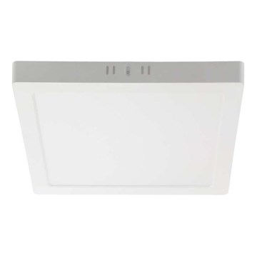 LED Stropní svítidlo LED/12W/230V 6500K 16,7x16,7 cm bílá