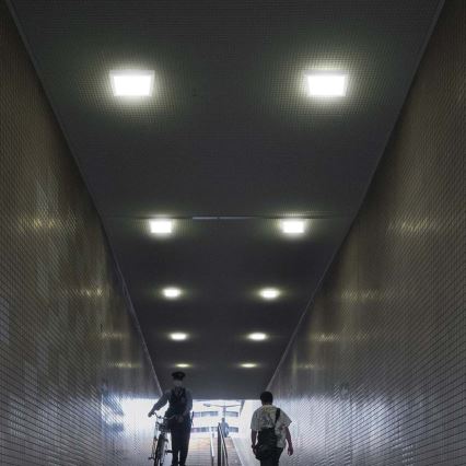 LED Stropní svítidlo LED/12W/230V 6500K 16,7x16,7 cm bílá