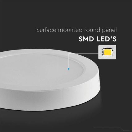 LED Stropní svítidlo LED/12W/230V 6500K pr. 16,7 cm bílá