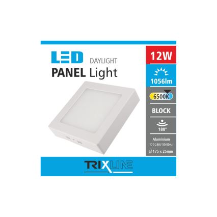 LED Stropní svítidlo LED/12W/230V 6500K