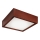 LED Stropní svítidlo LED/12W/230V borovice