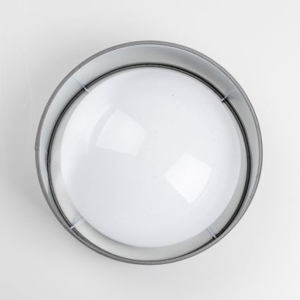 LED Stropní svítidlo LED/12W/230V pr. 32 cm šedá/stříbrná