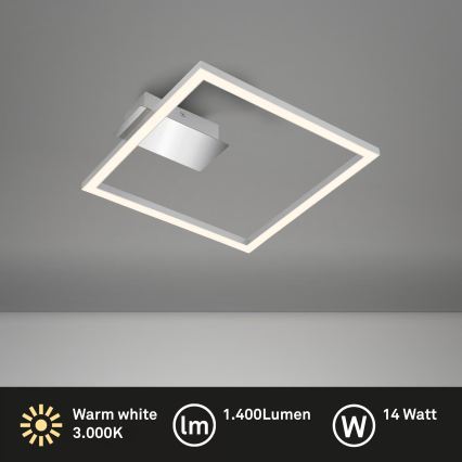 LED Stropní svítidlo LED/14W/230V matný chrom