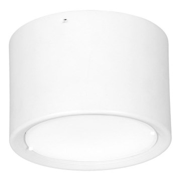 LED Stropní svítidlo LED/16W/230V bílá pr. 12 cm