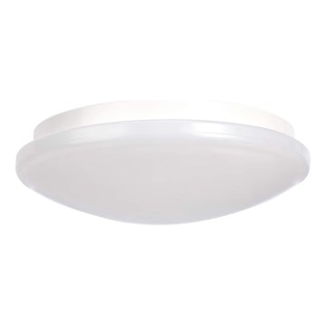LED Stropní svítidlo LED/17W/230V